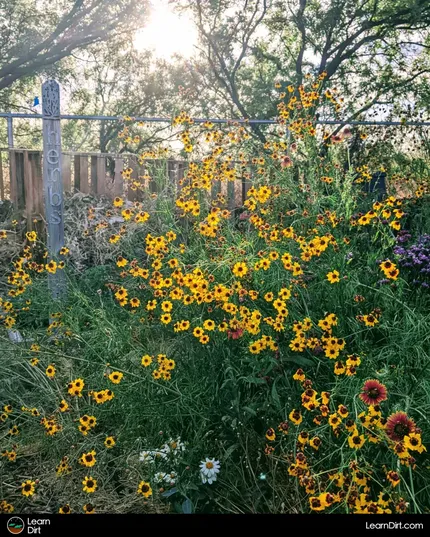 Your job is to gently guide your ecosystem in a healthy and sustainable direction. Let's jump into balancing your permaculture ecosystem.