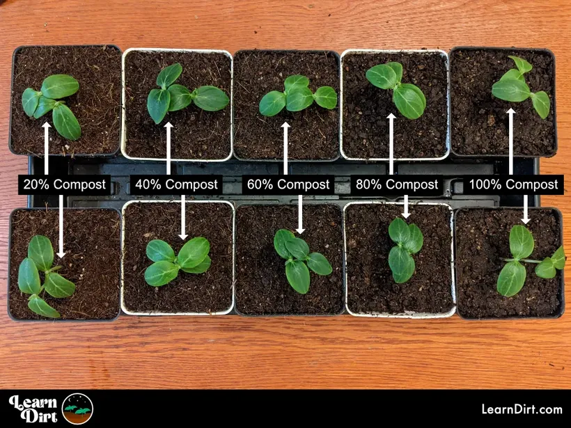 cucumber compost strength ratio tests