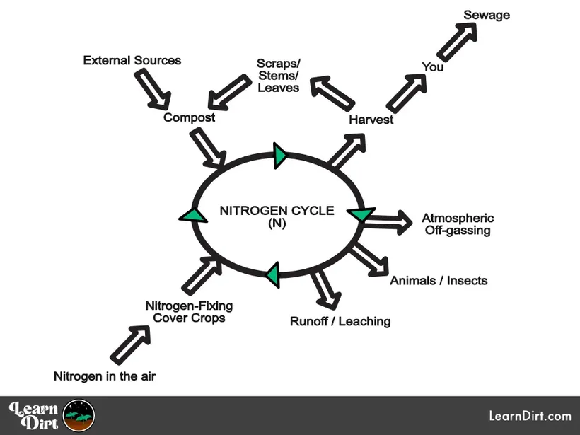 nitrogen cycle regenerative gardening systems thinking inputs outputs