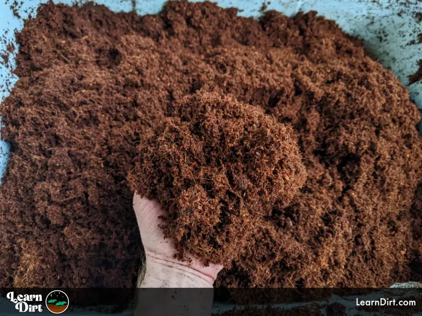 shredded coco peat rehydrated for gardening