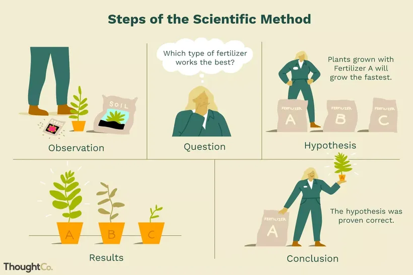 steps of the scientific method gardening illustration empiricism control and variable