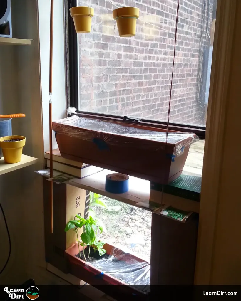 window sill gardening planters in a window