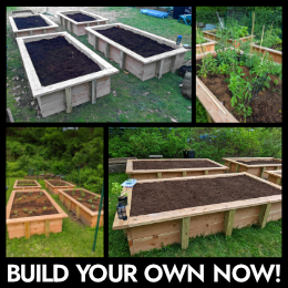 raised garden bed plans