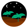 learn dirt logo plants under night sky moon soil